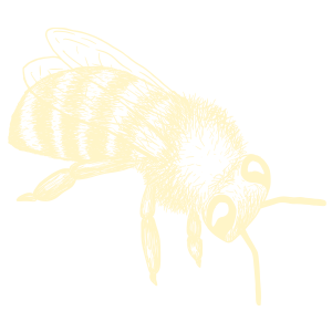 bee illustration