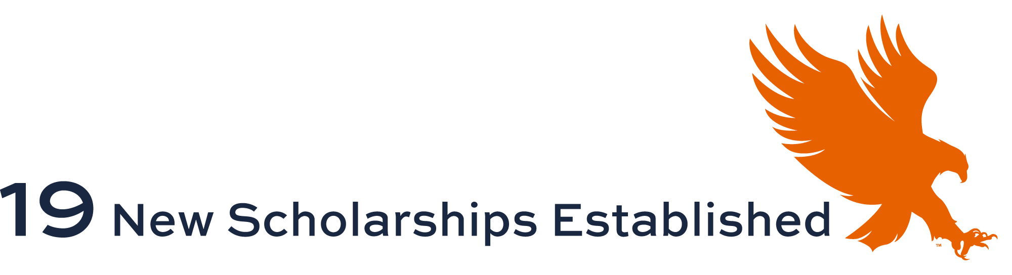 19 new scholarships established