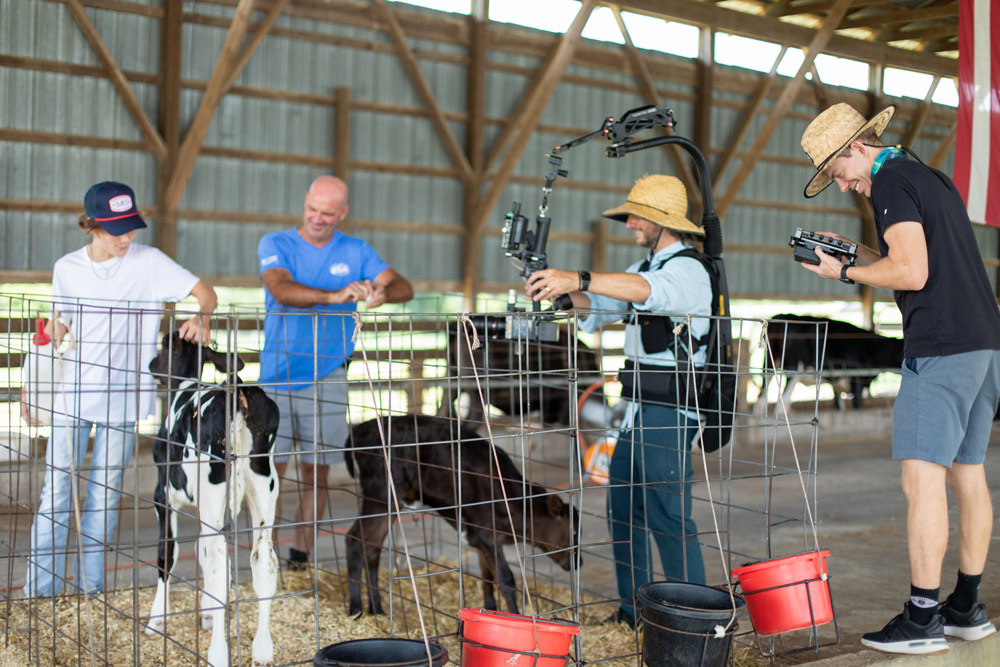 Men filming and interacting with calves inside a barn.