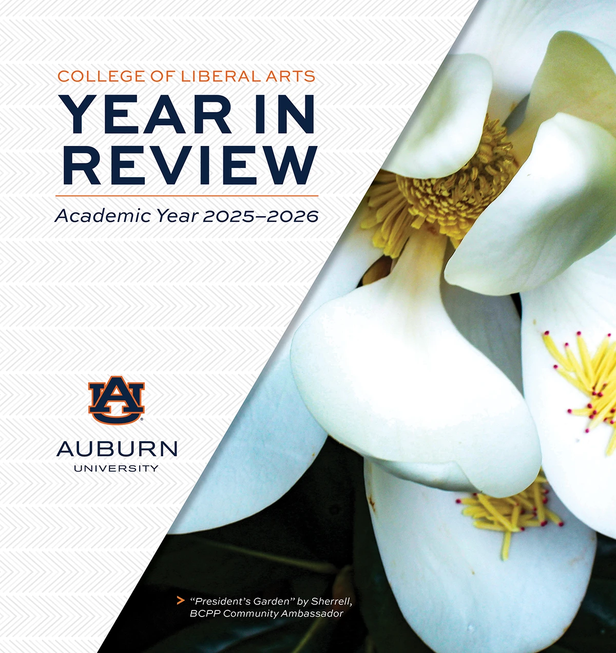 Year in Review cover