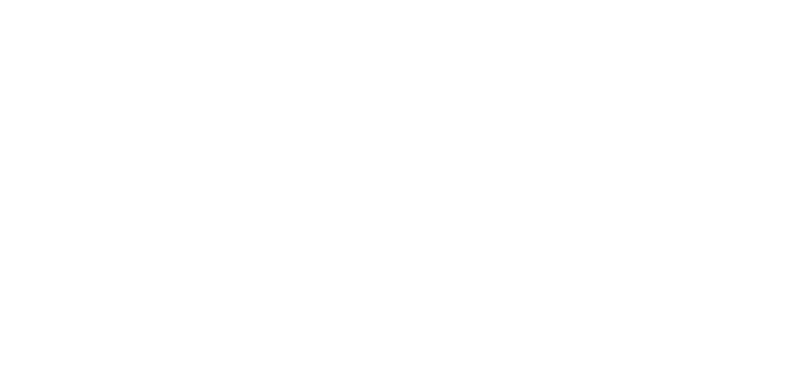 Defining Global Fluency